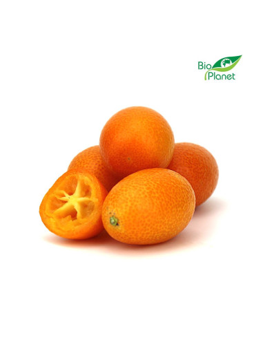 OPAKOWANIE ZBIORCZE (kg) - KUMKWAT ŚWIEŻY BIO (około 2 kg)