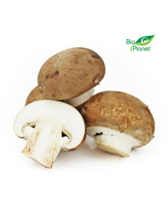 OPAKOWANIE ZBIORCZE (kg) - PIECZARKI BRĄZOWE ŚWIEŻE BIO (POLSKA) (około 3 kg)