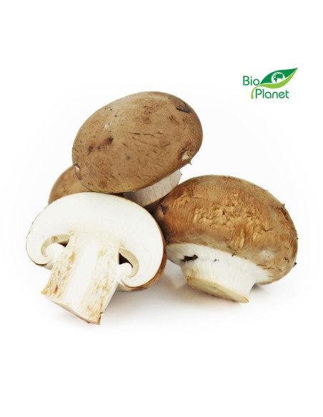 OPAKOWANIE ZBIORCZE (kg) - PIECZARKI BRĄZOWE ŚWIEŻE BIO (POLSKA) (około 3 kg)