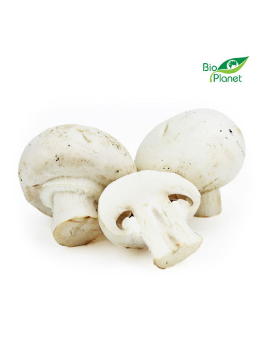 OPAKOWANIE ZBIORCZE (kg) - PIECZARKI BIAŁE ŚWIEŻE BIO (POLSKA) (około 3 kg)