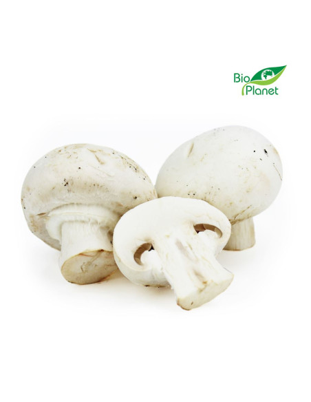 OPAKOWANIE ZBIORCZE (kg) - PIECZARKI BIAŁE ŚWIEŻE BIO (POLSKA) (około 3 kg)