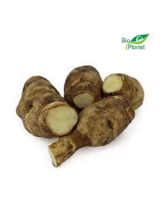 TOPINAMBUR ŚWIEŻY BIO (POLSKA) (około 0,50 kg)