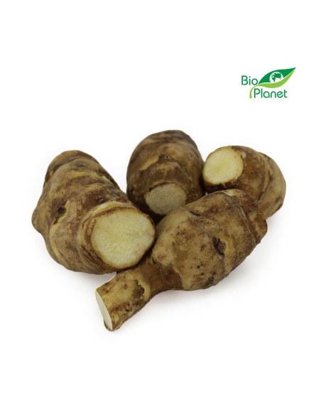 TOPINAMBUR ŚWIEŻY BIO (POLSKA) (około 0,50 kg)