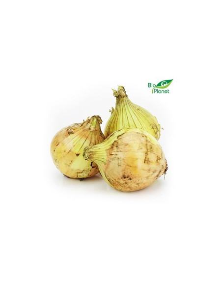 Cebula żółta świeża -  ok. 1kg - Bio Planet