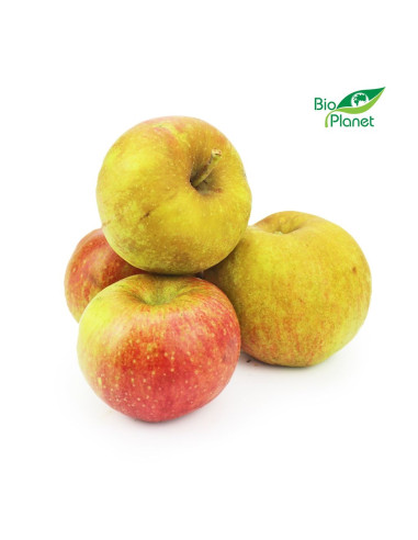 OPAKOWANIE ZBIORCZE (kg) - JABŁKA ŚWIEŻE BIO (BOSKOP - POLSKA) (około 13 kg)