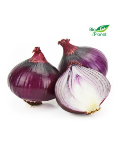 OPAKOWANIE ZBIORCZE (kg) - CEBULA CZERWONA ŚWIEŻA BIO (około 10 kg)