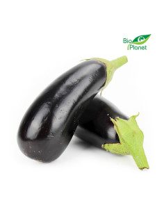 OPAKOWANIE ZBIORCZE (kg) - BAKŁAŻAN ŚWIEŻY BIO (około 3 kg)