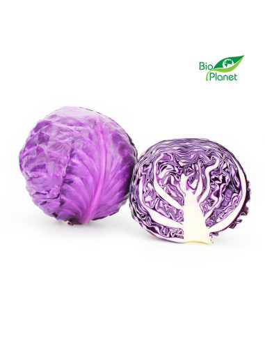 KAPUSTA CZERWONA MŁODA ŚWIEŻA BIO (około 1,00 kg)