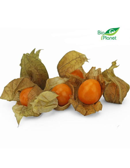 MIECHUNKA ŚWIEŻA BIO (około 0,10 kg)