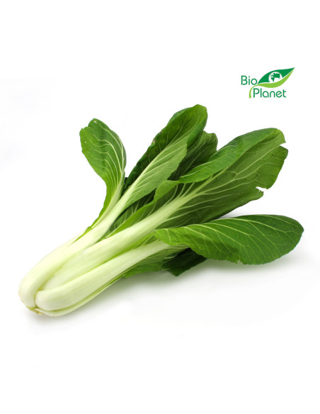 OPAKOWANIE ZBIORCZE (szt) - KAPUSTA PAK CHOI ŚWIEŻA BIO (12 sztuk)