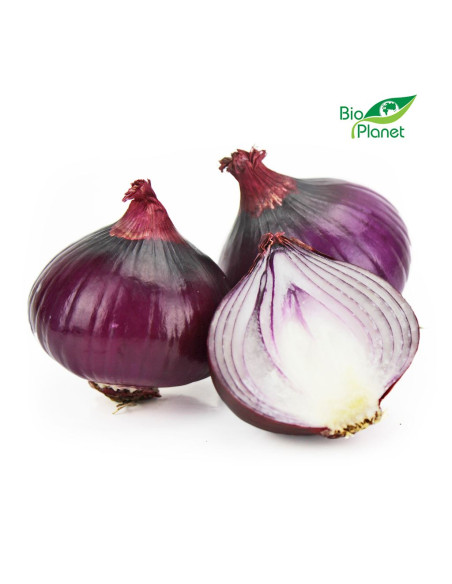 CEBULA CZERWONA ŚWIEŻA BIO (około 1,00 kg)