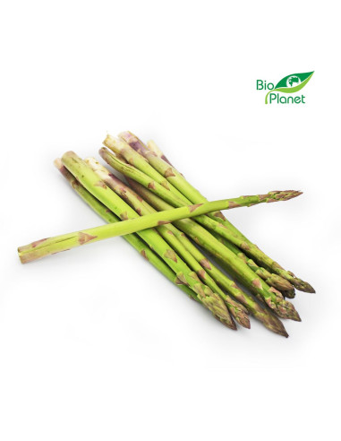 SZPARAGI ZIELONE ŚWIEŻE BIO (około 0,25 kg)