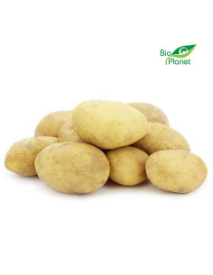 ZIEMNIAKI MŁODE ŚWIEŻE BIO (około 2,00 kg)