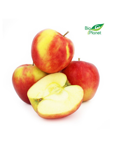 OPAKOWANIE ZBIORCZE (kg) - JABŁKA ŚWIEŻE BIO (EMPIRE - POLSKA) (około 13 kg)