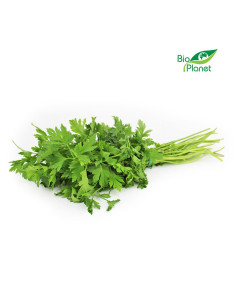 NATKA PIETRUSZKI ŚWIEŻA BIO (POLSKA) (około 20 g)