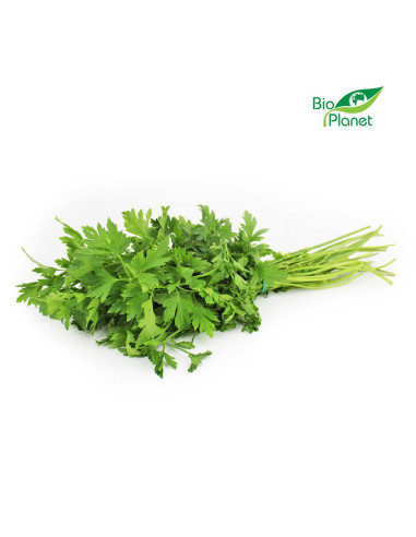 NATKA PIETRUSZKI ŚWIEŻA BIO (POLSKA) (około 20 g)