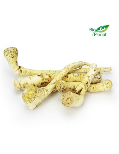 CHRZAN ŚWIEŻY BIO (POLSKA) (około 0,30 kg)