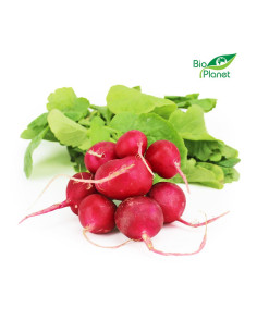 RZODKIEWKI ŚWIEŻE BIO (POLSKA) (około 0,15 kg)