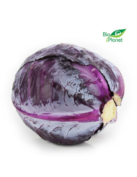 KAPUSTA CZERWONA ŚWIEŻA BIO (około 1,00 kg)