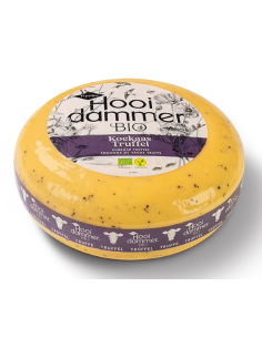 SER DOJRZEWAJĄCY Z TRUFLĄ BIO (około 4,5 kg) - HOOIDAMMER