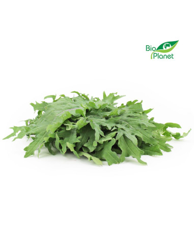 JARMUŻ ŚWIEŻY NIEMYTY BIO (POLSKA) (około 0,10 kg)