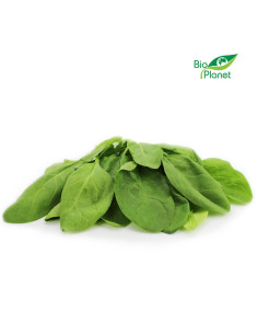 SZPINAK ŚWIEŻY NIEMYTY BIO (POLSKA) (około 0,10 kg)
