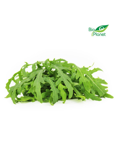 RUKOLA ŚWIEŻA NIEMYTA BIO (POLSKA) (około 0,10 kg)
