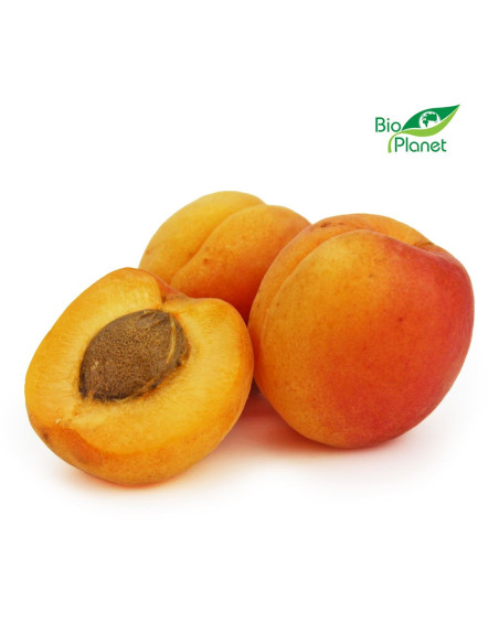 MORELE ŚWIEŻE BIO (około 0,50 kg)