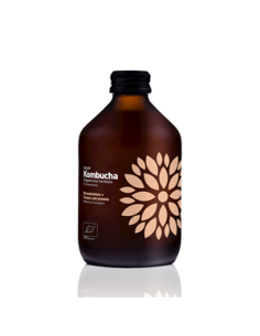 Kombucha brzoskwinia trawa cytrynowa - 330ml - Vigo