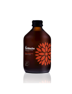 Kombucha malina rozmaryn - 330ml - Vigo