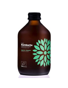 Kombucha z ogórkiem i kolendrą bezglutenowa Bio - 330ml - Vigo