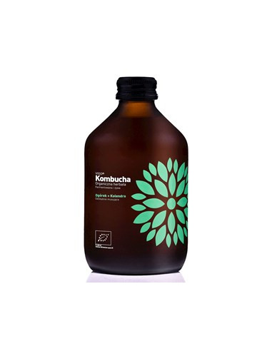 Kombucha z ogórkiem i kolendrą bezglutenowa Bio - 330ml - Vigo