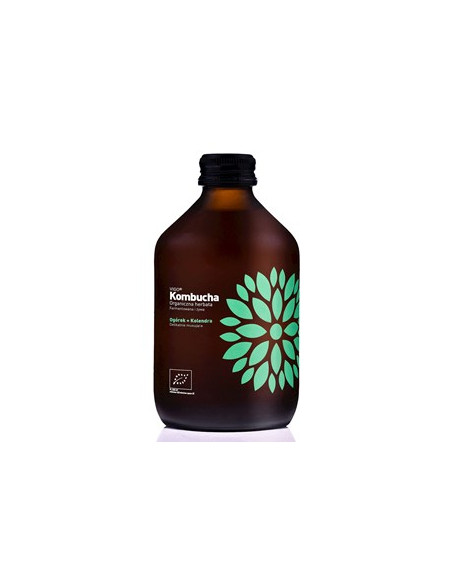 Kombucha z ogórkiem i kolendrą bezglutenowa Bio - 330ml - Vigo