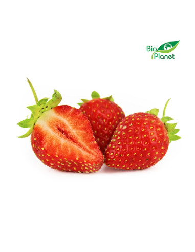 TRUSKAWKA ŚWIEŻA BIO (POLSKA) (opakowanie ok. 0,50 kg)