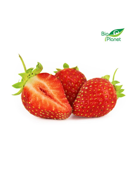 TRUSKAWKA ŚWIEŻA BIO (POLSKA) (opakowanie ok. 0,50 kg)