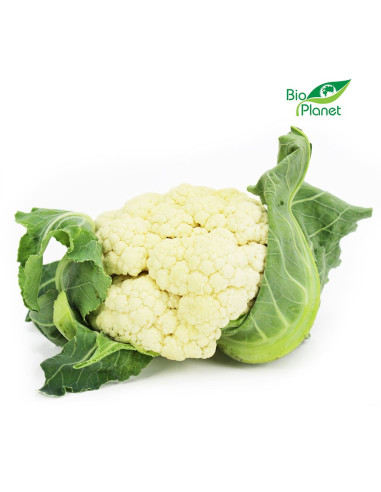 KALAFIOR ŚWIEŻY BIO (POLSKA) (około 0,80 kg)