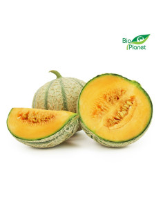 OPAKOWANIE ZBIORCZE (kg) - MELON ŚWIEŻY BIO (około 5 kg)
