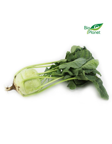 KALAREPA ŚWIEŻA BIO (POLSKA) (około 0,30 kg)