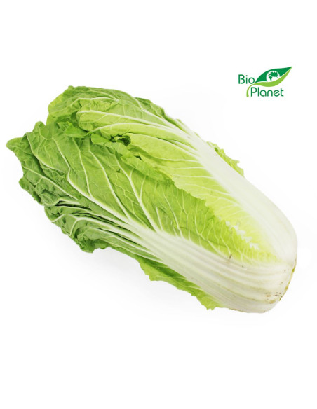 KAPUSTA PEKIŃSKA ŚWIEŻA BIO (POLSKA) (około 0,60 kg)