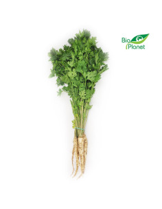 PIETRUSZKA Z NACIĄ ŚWIEŻA BIO (POLSKA) (około 0,30 kg)
