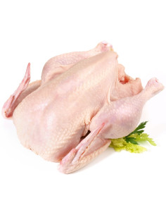 KURCZAK (TUSZKA CAŁA) SUROWA BIO (około 2,15 kg) - LIMEKO (NA ZAMÓWIENIE)