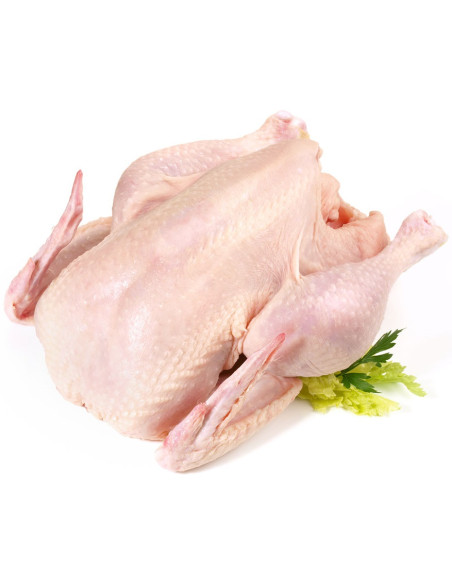 KURCZAK (TUSZKA CAŁA) SUROWA BIO (około 2,15 kg) - LIMEKO (NA ZAMÓWIENIE)