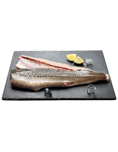 JESIOTR PŁAT (około 0,40 kg) - SMOLIN FISH (NA ZAMÓWIENIE)