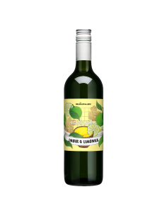 KOMBUCHA O SMAKU IMBIRU I LIMONKI BIO 750 ml - DELIKATNA