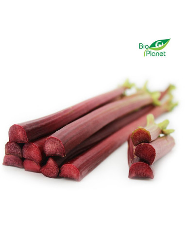 RABARBAR ŚWIEŻY BIO (POLSKA) (około 0,50 kg)