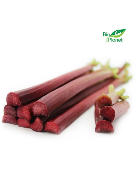 RABARBAR ŚWIEŻY BIO (POLSKA) (około 0,50 kg)