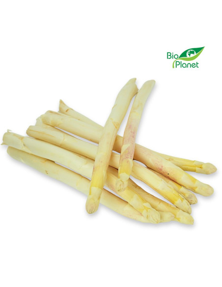 SZPARAGI BIAŁE ŚWIEŻE BIO (około 0,50 kg)