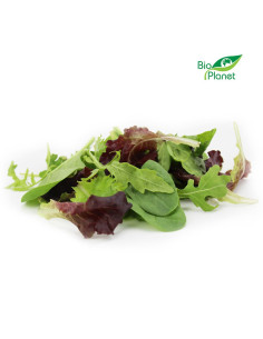 MIX SAŁAT ŚWIEŻY NIEMYTY BIO (około 0,10 kg) 2