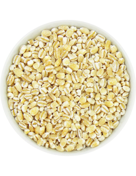 KASZA JĘCZMIENNA PĘCZAK BIO (SUROWIEC) (25 kg)