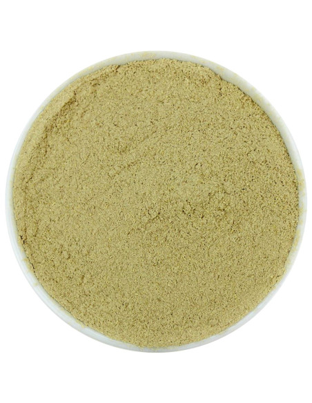 ASHWAGANDHA SPROSZKOWANA BIO (SUROWIEC) (20 kg)